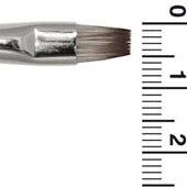 IMP6