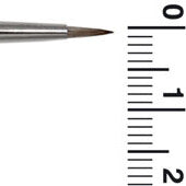 IMR1