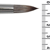 IMR18