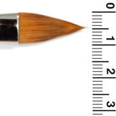 SP10