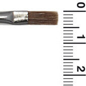 R6