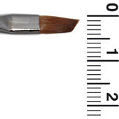 MS4