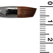 MS6