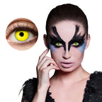 Boland - Weeklenzen - The Spotlight Make-Up