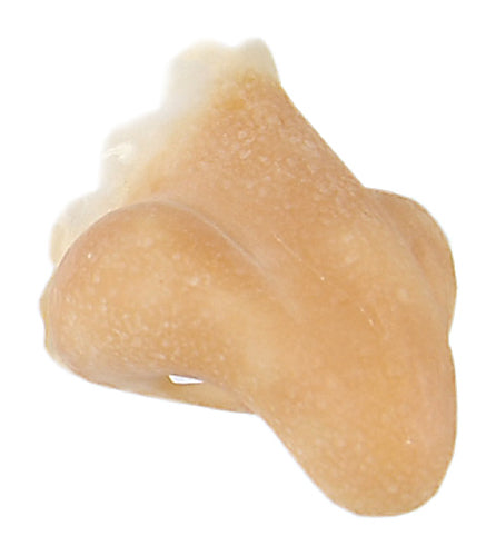 Grimas - Latex - Prosthetics - The Spotlight Make-Up 105