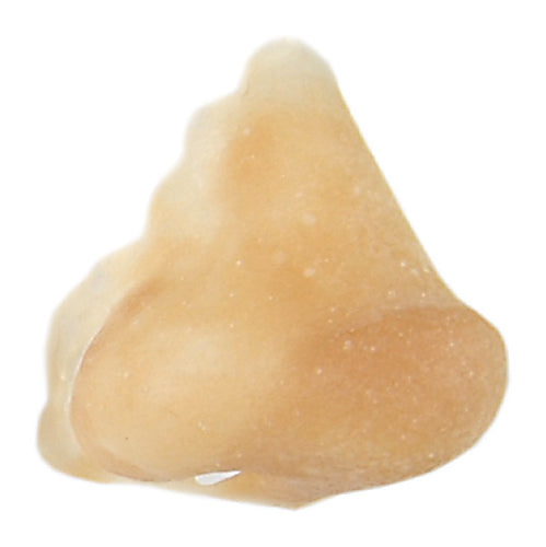 Grimas - Latex - Prosthetics - The Spotlight Make-Up 107