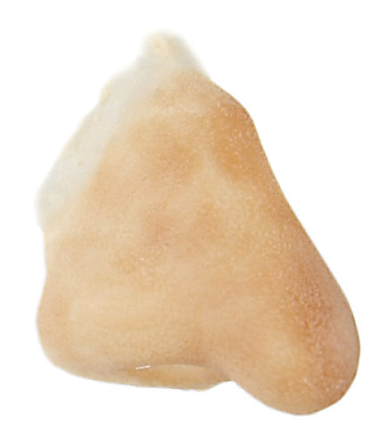 Grimas - Latex - Prosthetics - The Spotlight Make-Up 108