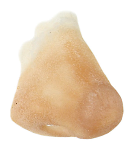 Grimas - Latex - Prosthetics - The Spotlight Make-Up 110