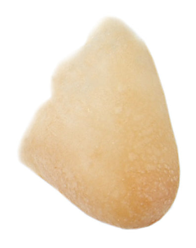 Grimas - Latex - Prosthetics - The Spotlight Make-Up 204