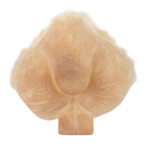 Grimas - Latex - Prosthetics - The Spotlight Make-Up 310