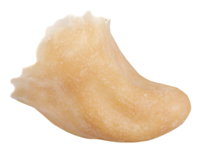 Grimas - Latex - Prosthetics - The Spotlight Make-Up 501