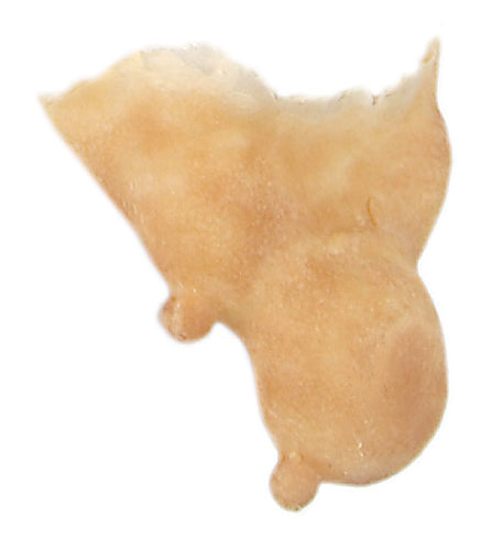 Grimas - Latex - Prosthetics - The Spotlight Make-Up 504